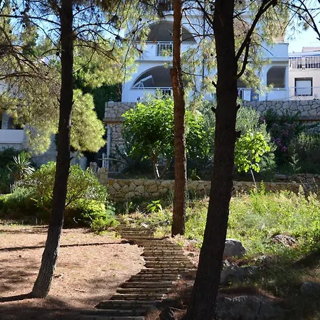 Kroatiensonne 2 *